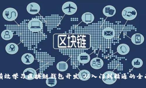 如何有效学习区块链钱包开发：从入门到精通的全面指南